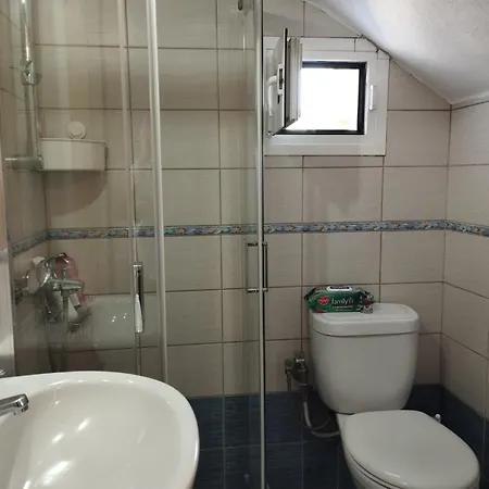 Apartment Olive Grove House