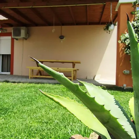 Olive Grove House Daire Limenaria (Thasos)