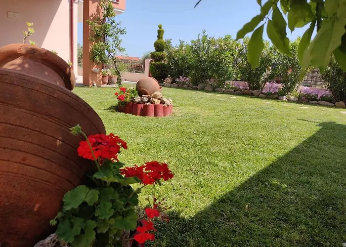 Olive Grove House Apartament