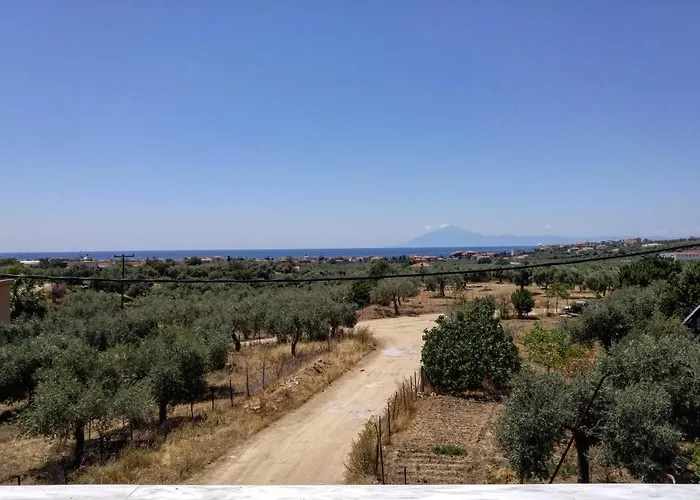 Olive Grove House Limenaria (Thasos)