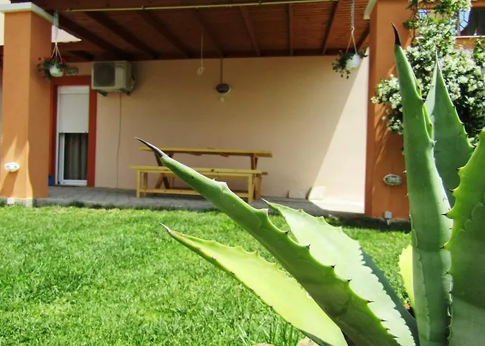 Olive Grove House Daire Limenaria (Thasos)